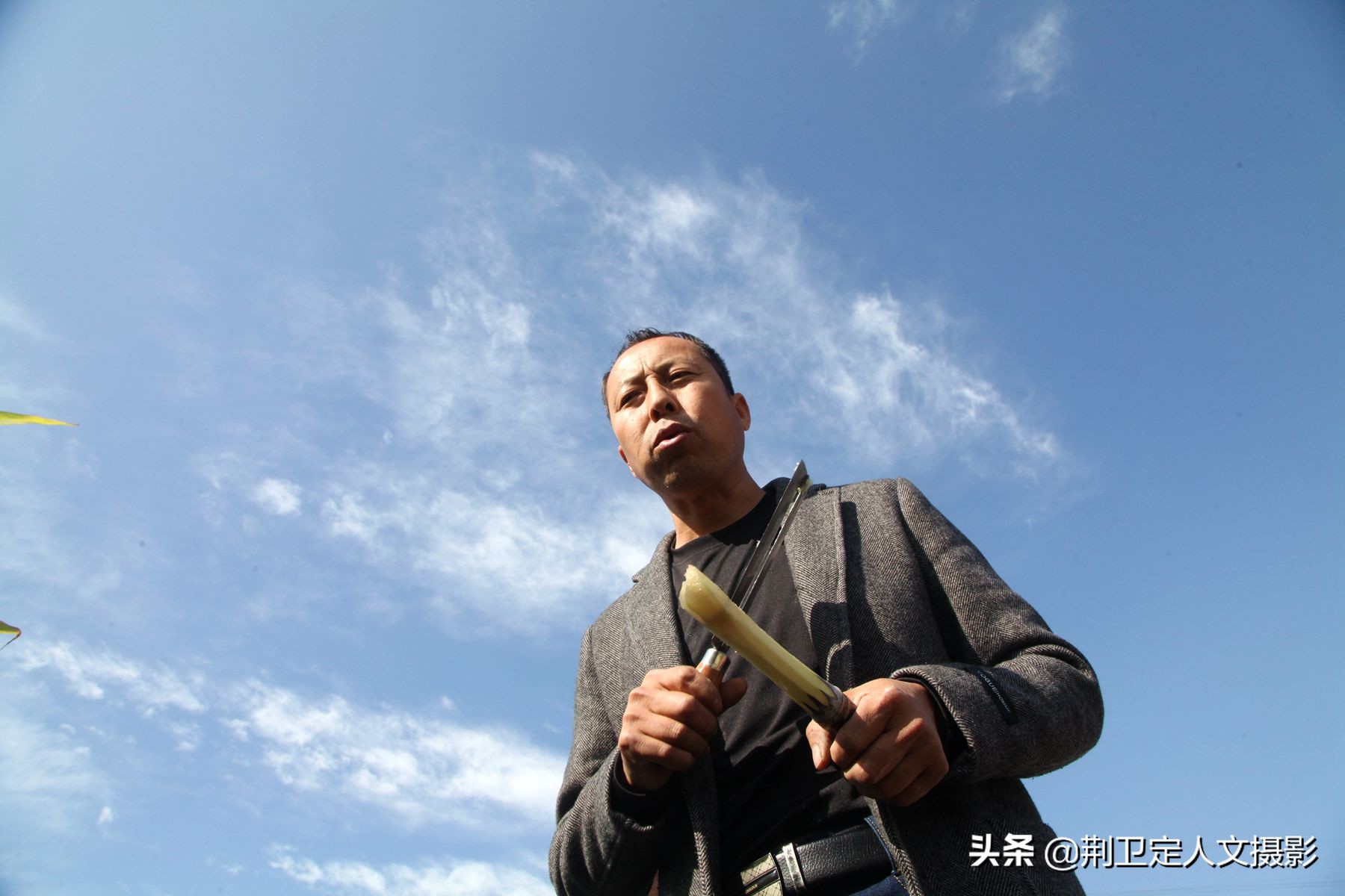 高标准农田种植水果甘蔗,山西农民种甘蔗