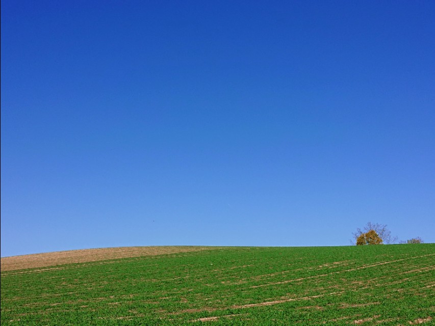 北海道登别到美瑛町需多久,日本北海道美瑛川的雪景