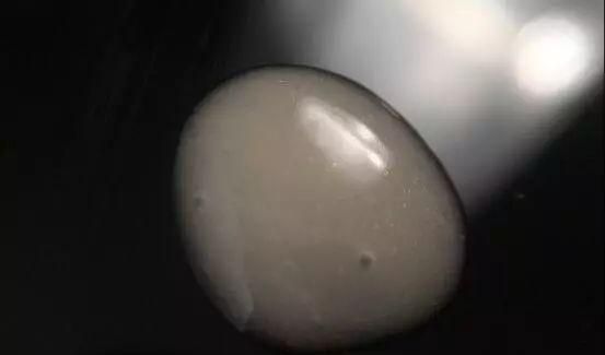 评测淡斑精华377,评测美白精华377