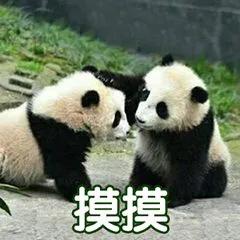 姐夫扒了小姨子的皮