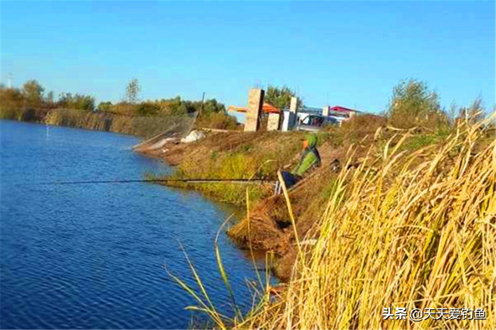 晚秋野钓天气好出钓不空,晚秋降温前钓鱼是钓深水还是浅水