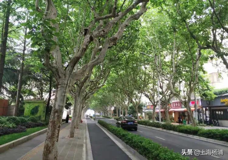 我国唯一一条有五星红旗的隧道,我国第一条跨海铁路通道是啥