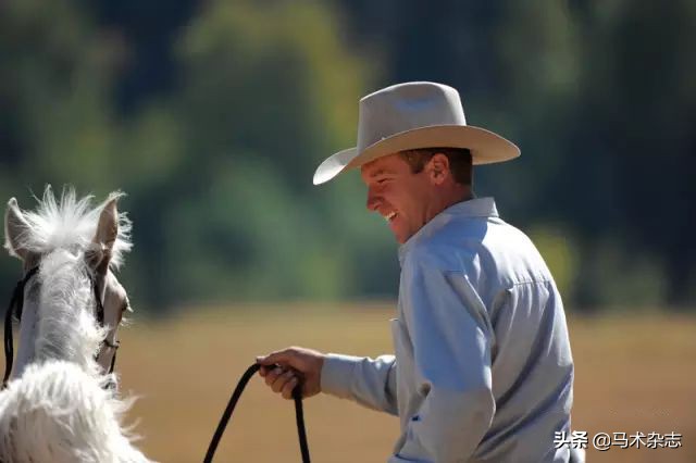 一岁不到的小马驹怎么训练,如果你有一匹出色的马你会怎么样