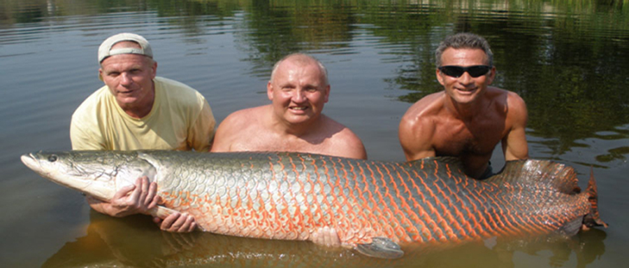 被公认最好吃的15种淡水鱼,十种公认好吃的淡水鱼