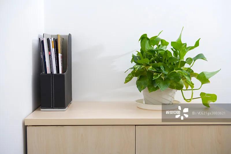 教你一招新房除甲醛,刚装修好的房子除甲醛有用吗贴吧