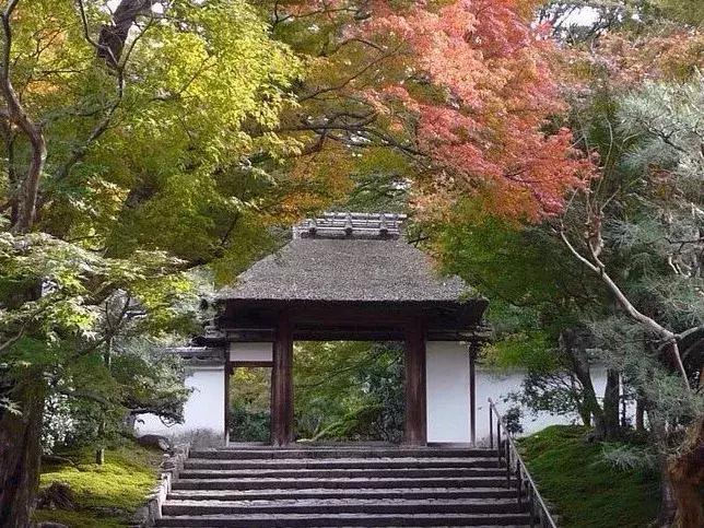 日本跳蚤市场旧货市场,日本的跳蚤市场也太好逛了吧