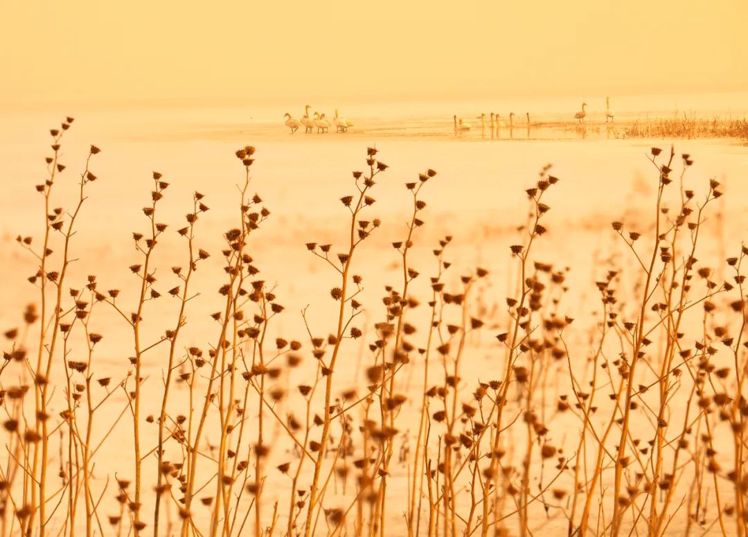 香港第14届全国摄影艺术展,第29届全国摄影艺术展览获奖名单