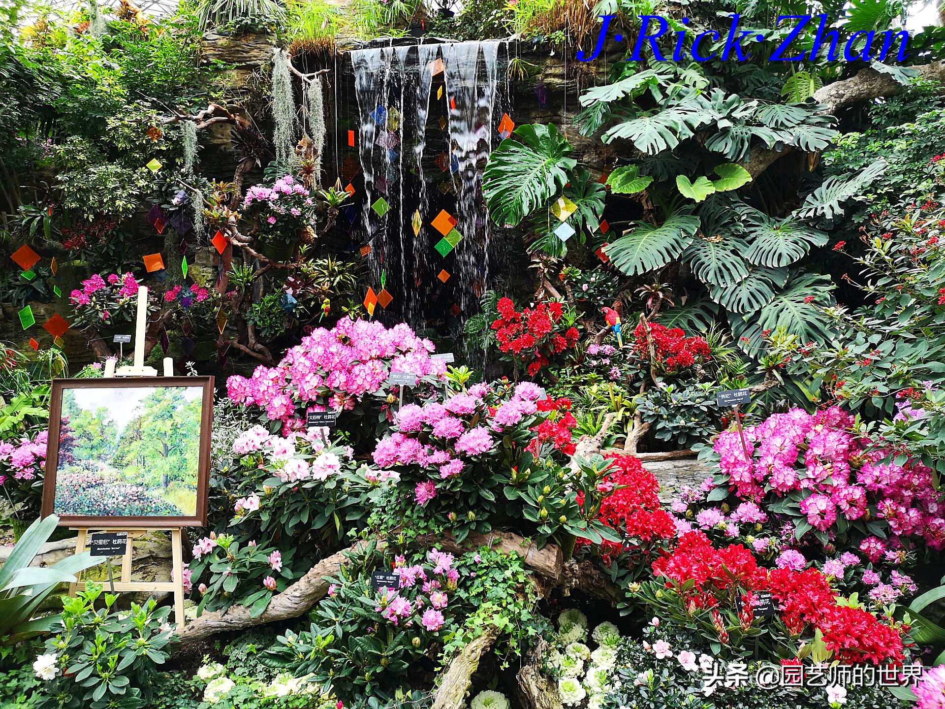 园艺研学报告,园艺园林研学