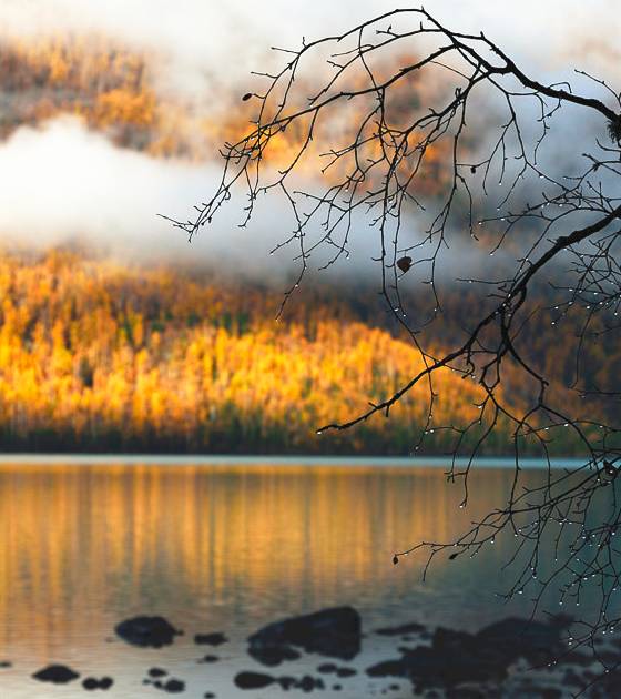 阿勒泰秋季旅行,新疆旅行阿勒泰秋天