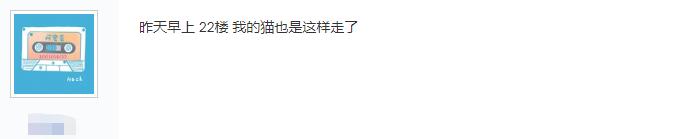 猫怎么做到高处摔不死,真相猫