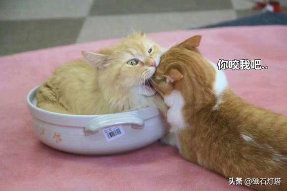 剑侠情缘3剑网三,剑侠情缘剑网3