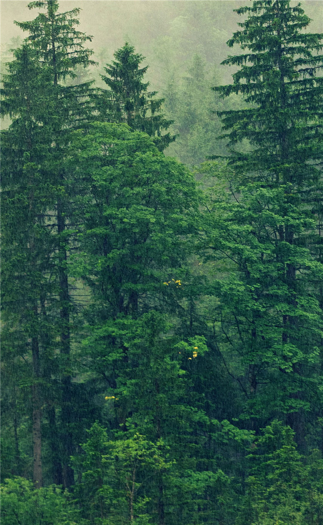 缓解眼睛疲劳动态图壁纸,好看的手机壁纸护眼高清图文