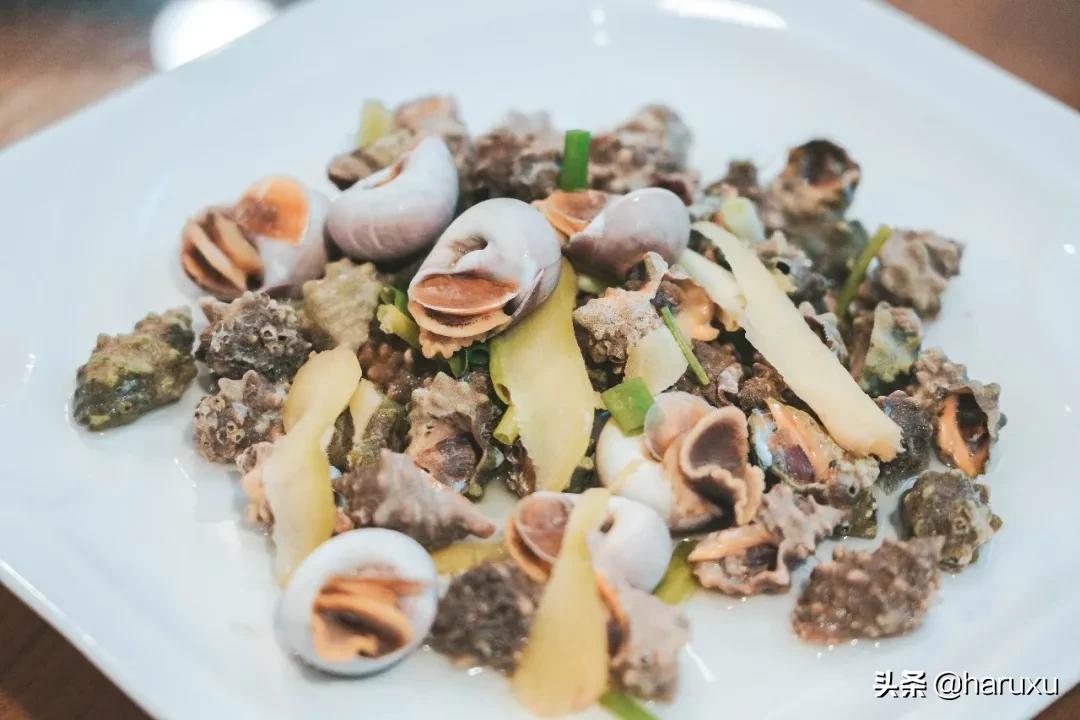 湘南单轨江之岛旅游攻略,湘南江之岛