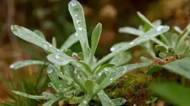 汕尾的各种粿,汕尾人吃东西