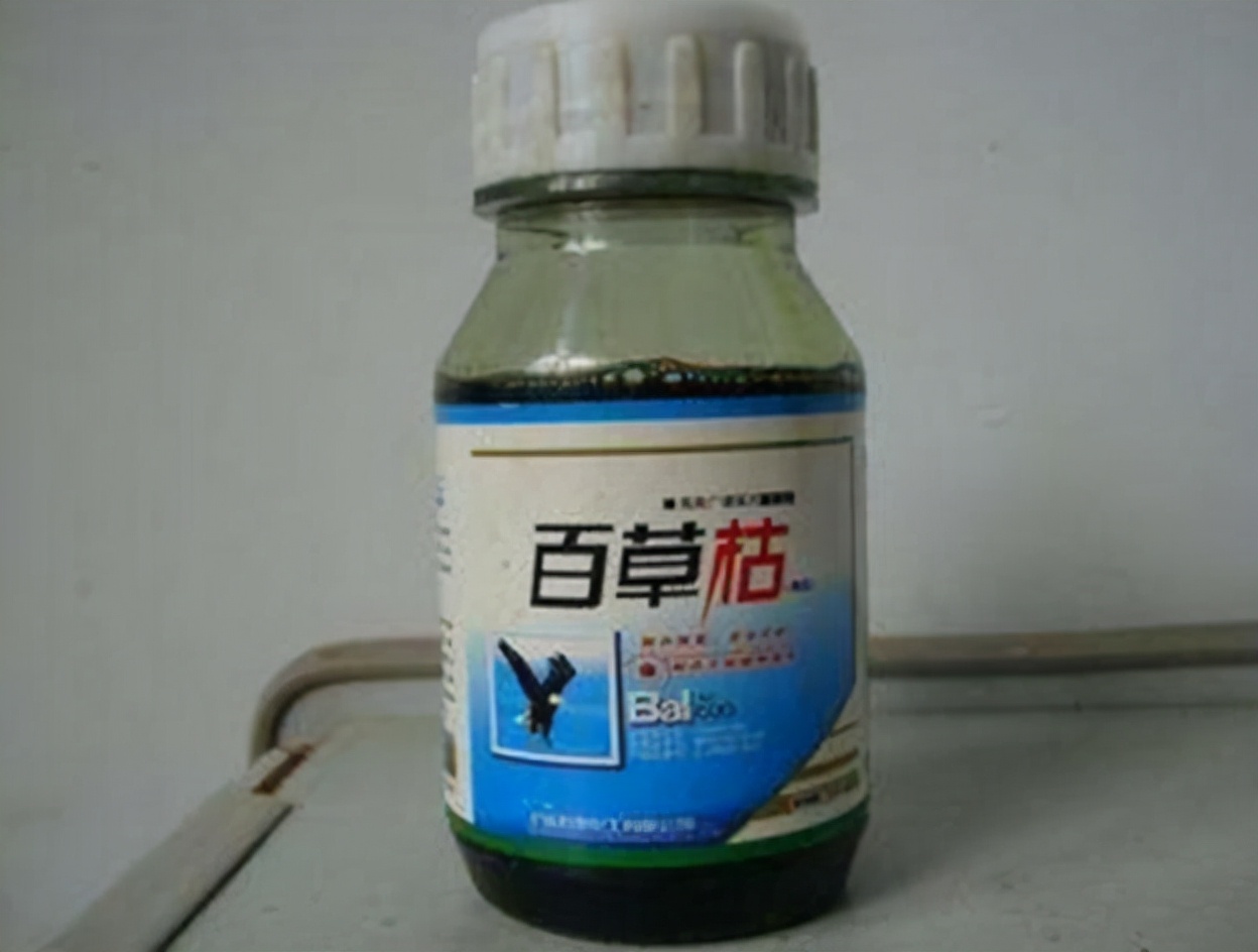 30岁左右男人喝下百草枯后续,百草枯中毒有多严重