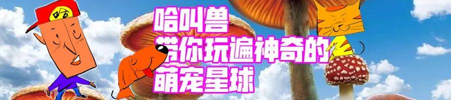 狗狗翻肠子最简单的土办法,翻肠子狗狗是什么意思