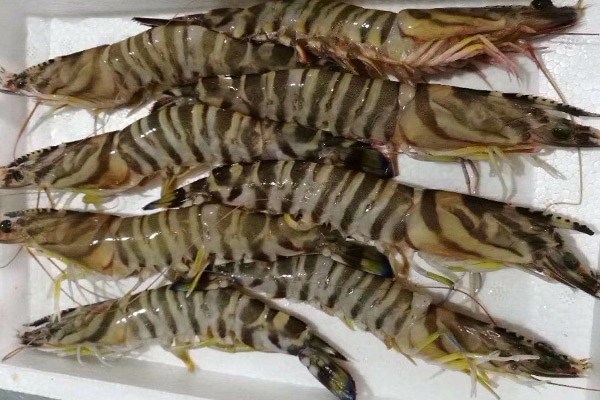 吕四海鲜最正宗的做法,吕四海鲜购买教程