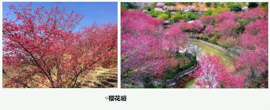 韶关云天海温泉推荐,韶关新丰云天海温泉酒店介绍