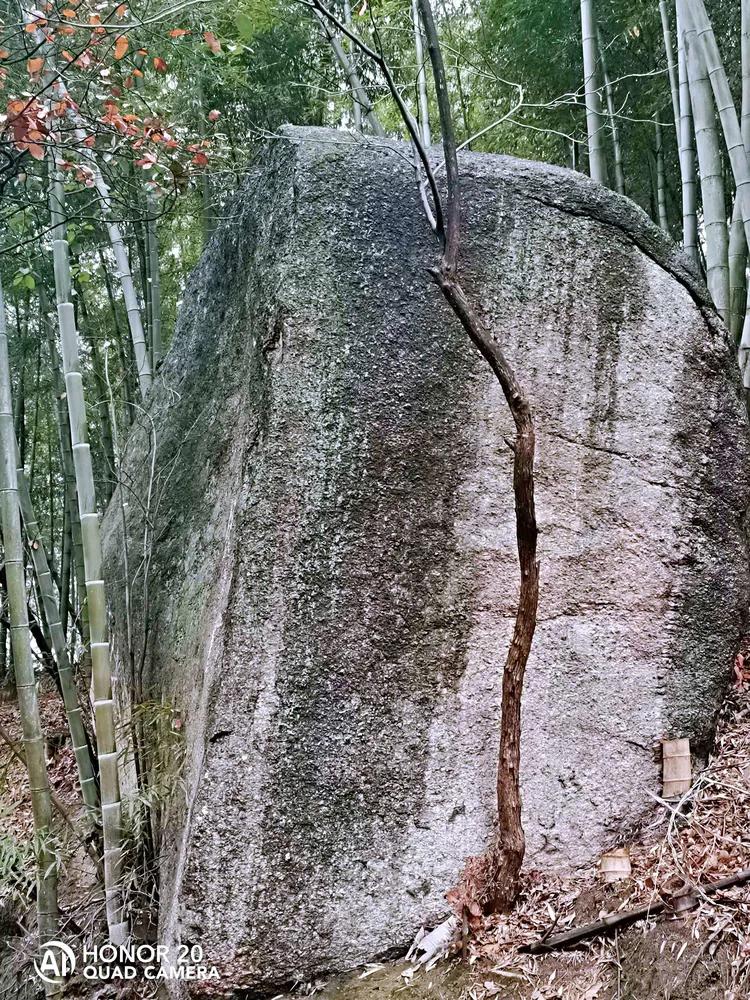 华容山水苑别墅100万,华容秀丽山水风景区