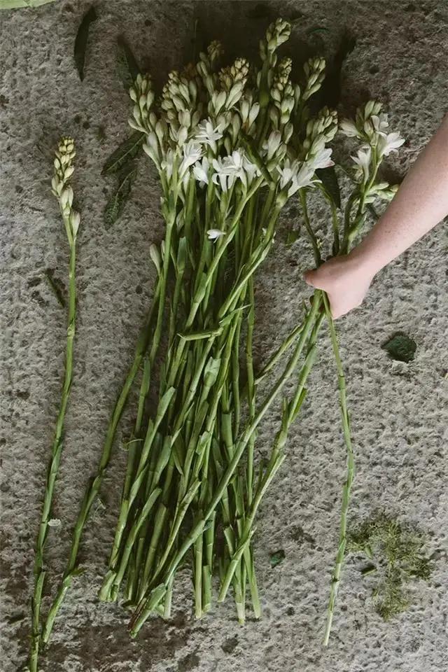 9平米花店,有4间铺面开花店怎样设计