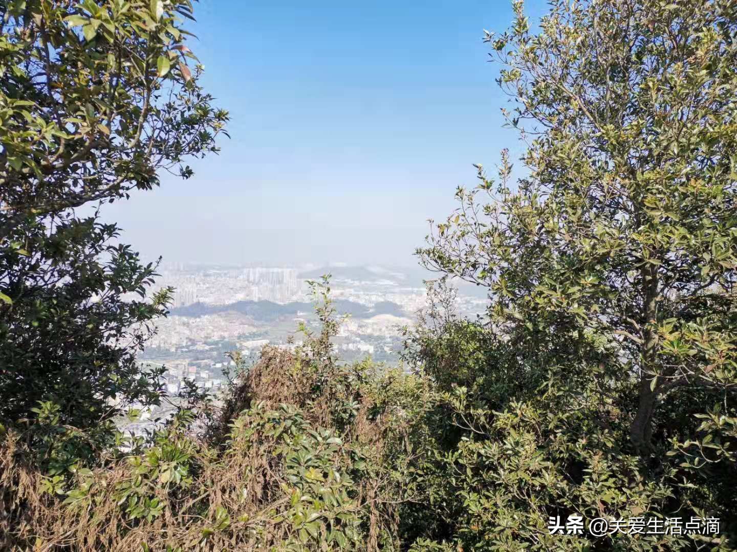 惠州市惠阳区亚公顶森林公园游记,惠阳亚公顶森林公园怎么走