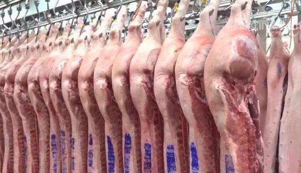 猪肉为什么盖章有蓝章,为什么猪肉都有印章