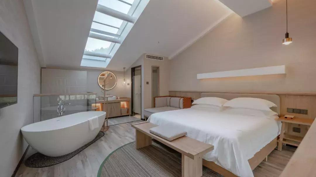 深山废弃的五星级酒店,一个被7万亩竹海包围的树屋酒店