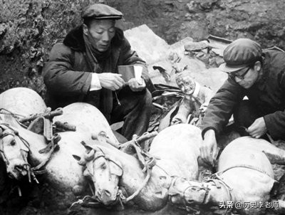 这件*物文**出土时已碎成了3000多块，专家成功修复后，惊艳了全世界