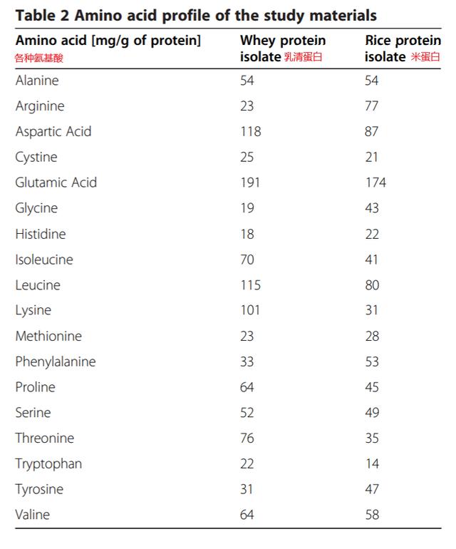 植物蛋粉,植物蛋白粉和乳清蛋白粉比较