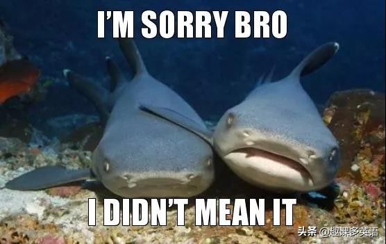 “我也是”只会说Metoo？是时候学习更地道的口头禅啦