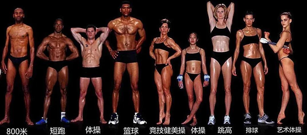 打篮球长高,练体操变矮?别逗了,你的身高早就被基因定好了