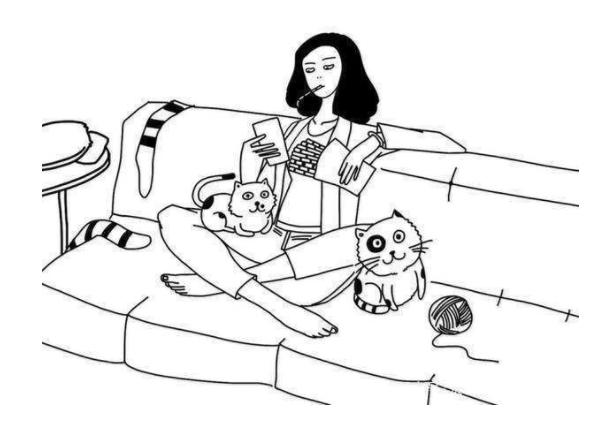 贪便宜花800元买了只蓝猫，一身猫癣还传染给了自己（真实案例）