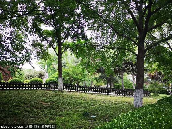 北京夏天傍晚值得去的地方,八月份北京适合旅游的地方推荐