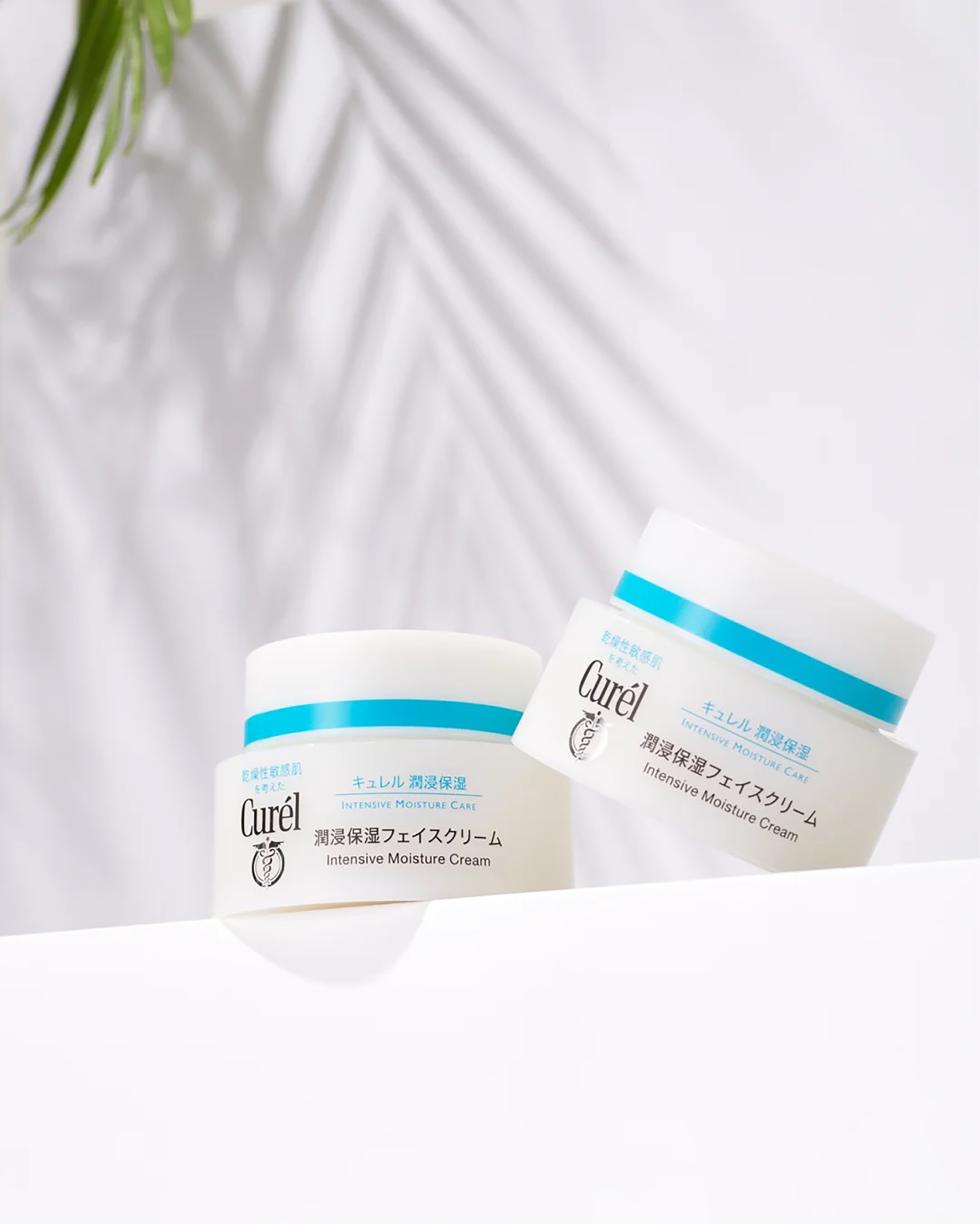 好用到买一囤一的面霜，珂润保湿，高姿抗氧化，欧莱雅性价比高