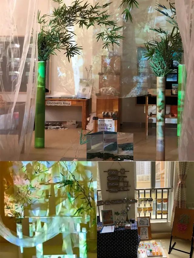 伊顿最新采访视频,伊顿幼儿园成都