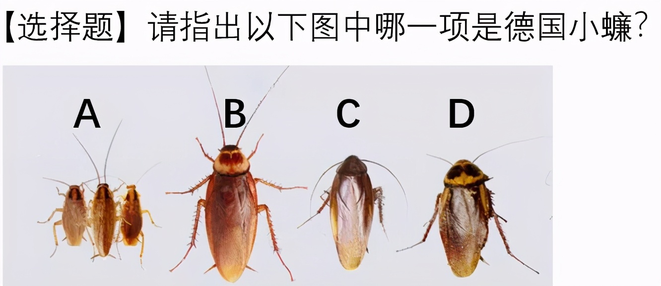 饮水机爬出蟑螂,饮水机老是有蟑螂进去怎么办