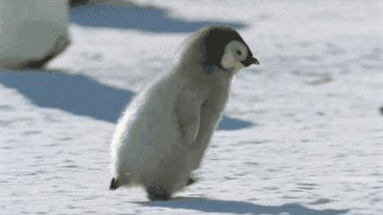 沈阳气温零下17天,沈阳最低气温能达到零下四十度吗