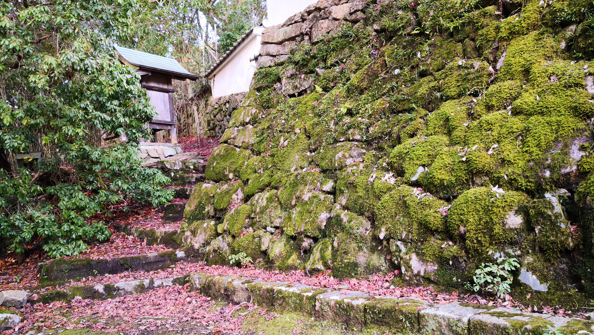 书写山圆教寺景点,书写山圆教寺攻略
