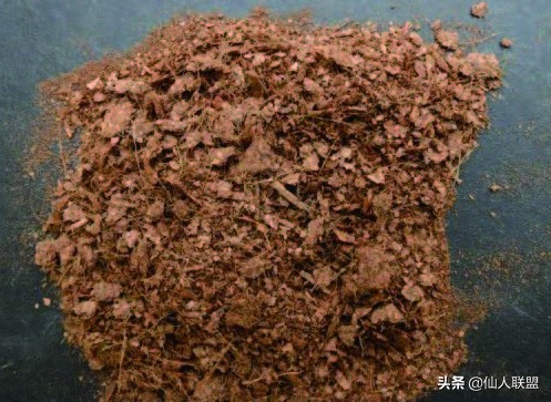 石食者THESTONEEATERS六