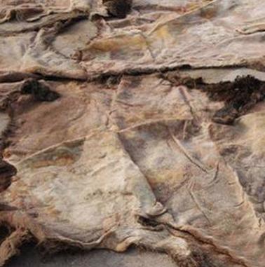 <html>
<head><title>502BadGateway</title></head>
<body>
<center><h1>502BadGateway</h1></center>
<hr><center>nginx</center>
</body>
</html>
<!--apaddingtodisableMSIEandChromefriendlyerrorpage-->
<!--apaddingtodisableMSIEandChromefriendlyerrorpage-->
<!--apaddingtodisableMSIEandChromefriendlyerrorpage-->
<!--apaddingtodisableMSIEandChromefriendlyerrorpage-->
<!--apaddingtodisableMSIEandChromefriendlyerrorpage-->
<!--apaddingtodisableMSIEandChromefriendlyerrorpage-->
