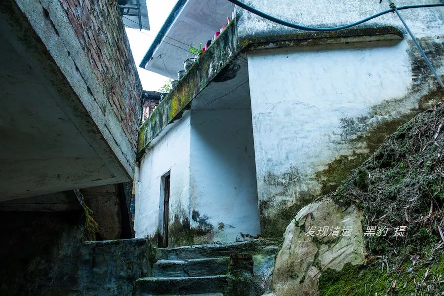 广东哪里有野温泉泡,藏在惠州的一个免费野温泉