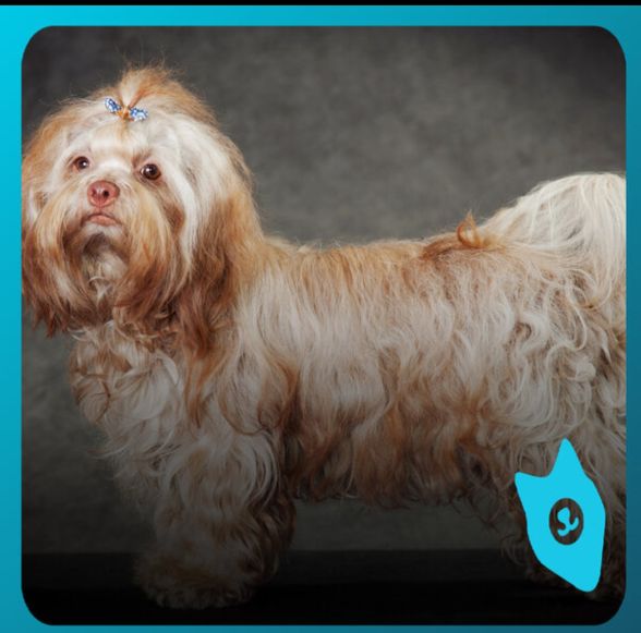 俄罗斯最著名的十大雕塑是,俄罗斯最著名的十大建筑物