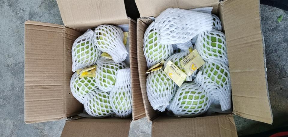 新鲜芭乐吃起来什么口感,软糯香甜的芭乐你吃过吗