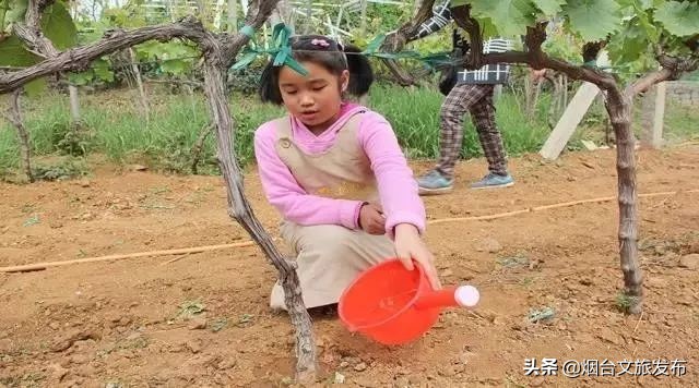 张裕卡斯特酒庄研学,探秘研学活动