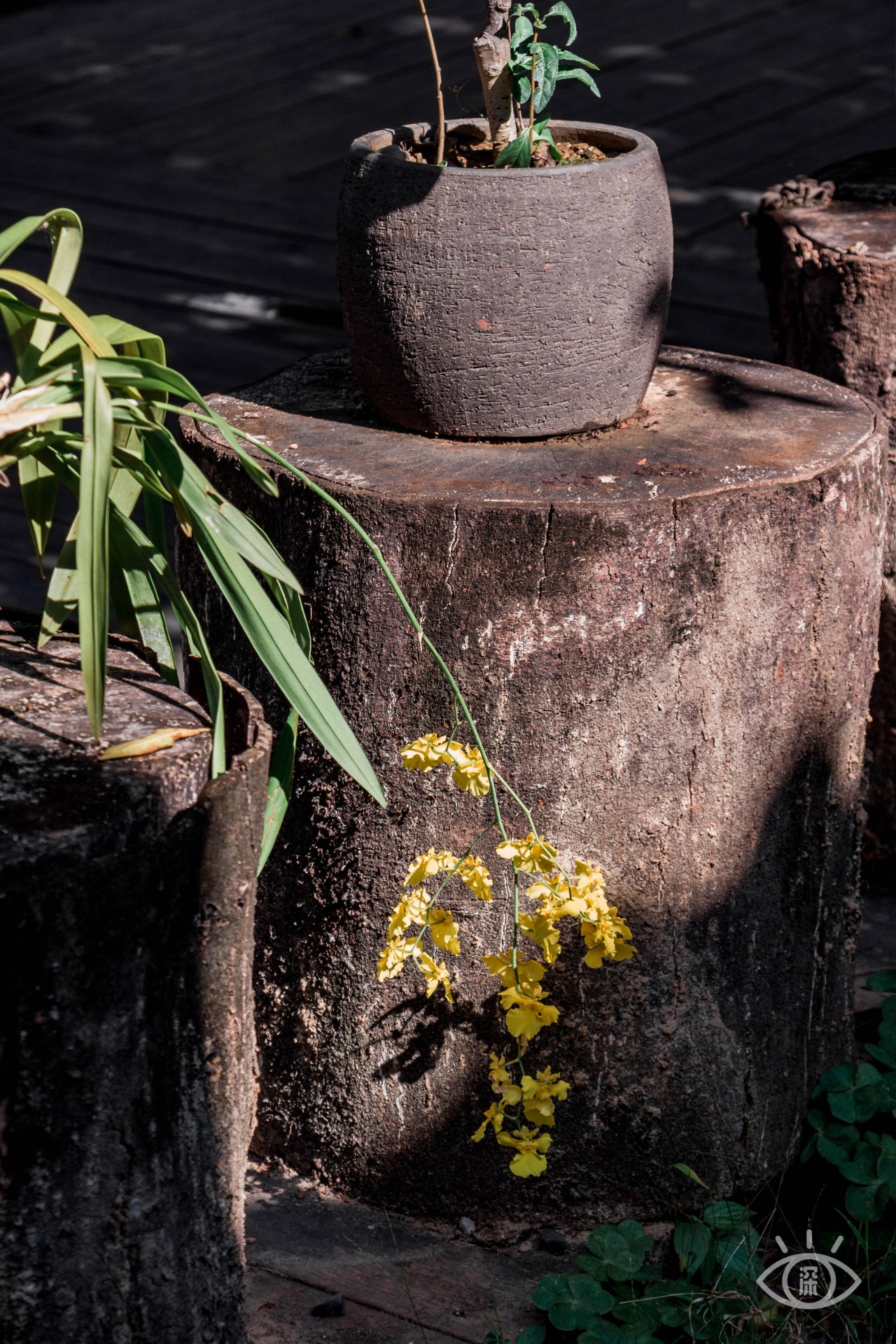 深圳十大顶级公园,深圳市十大风景公园排名