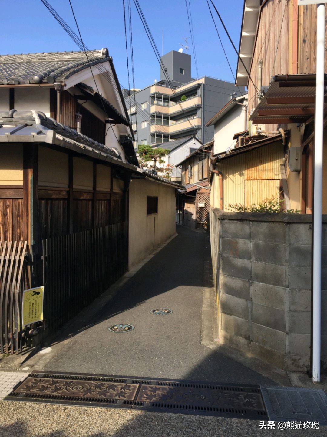 几月去日本看枫叶好,什么时候去日本看枫叶最好