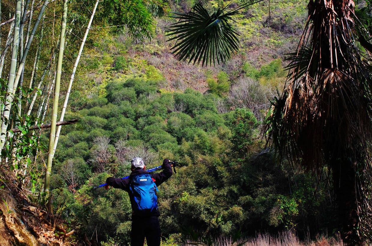 户外帐篷收纳包,户外野营收纳包