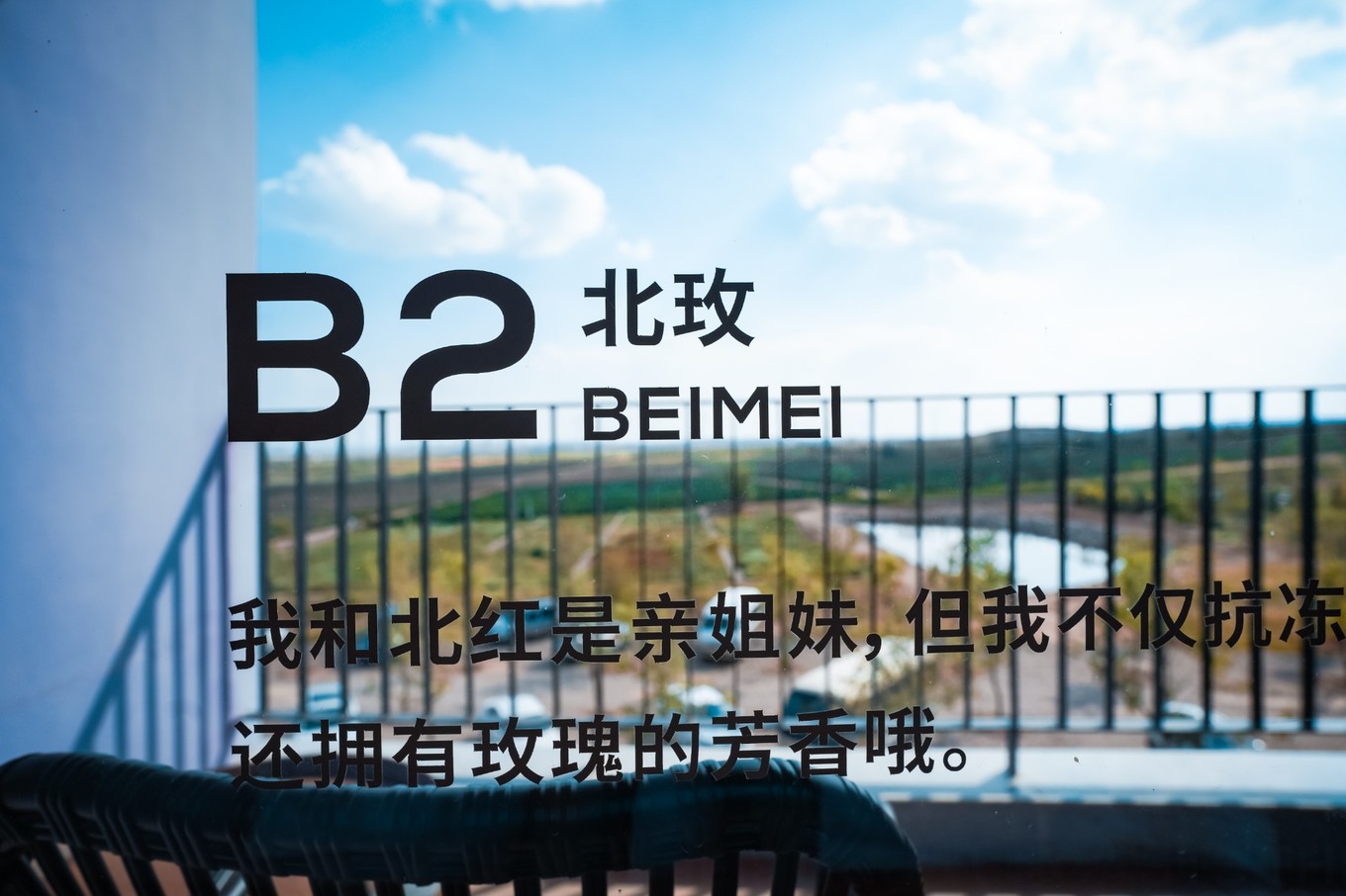 宁夏旅游打卡点,宁夏银川十大网红旅游必打卡