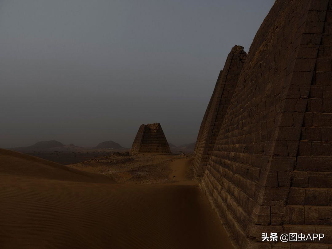 图虫opensealab摄影,图虫看动物世界系列