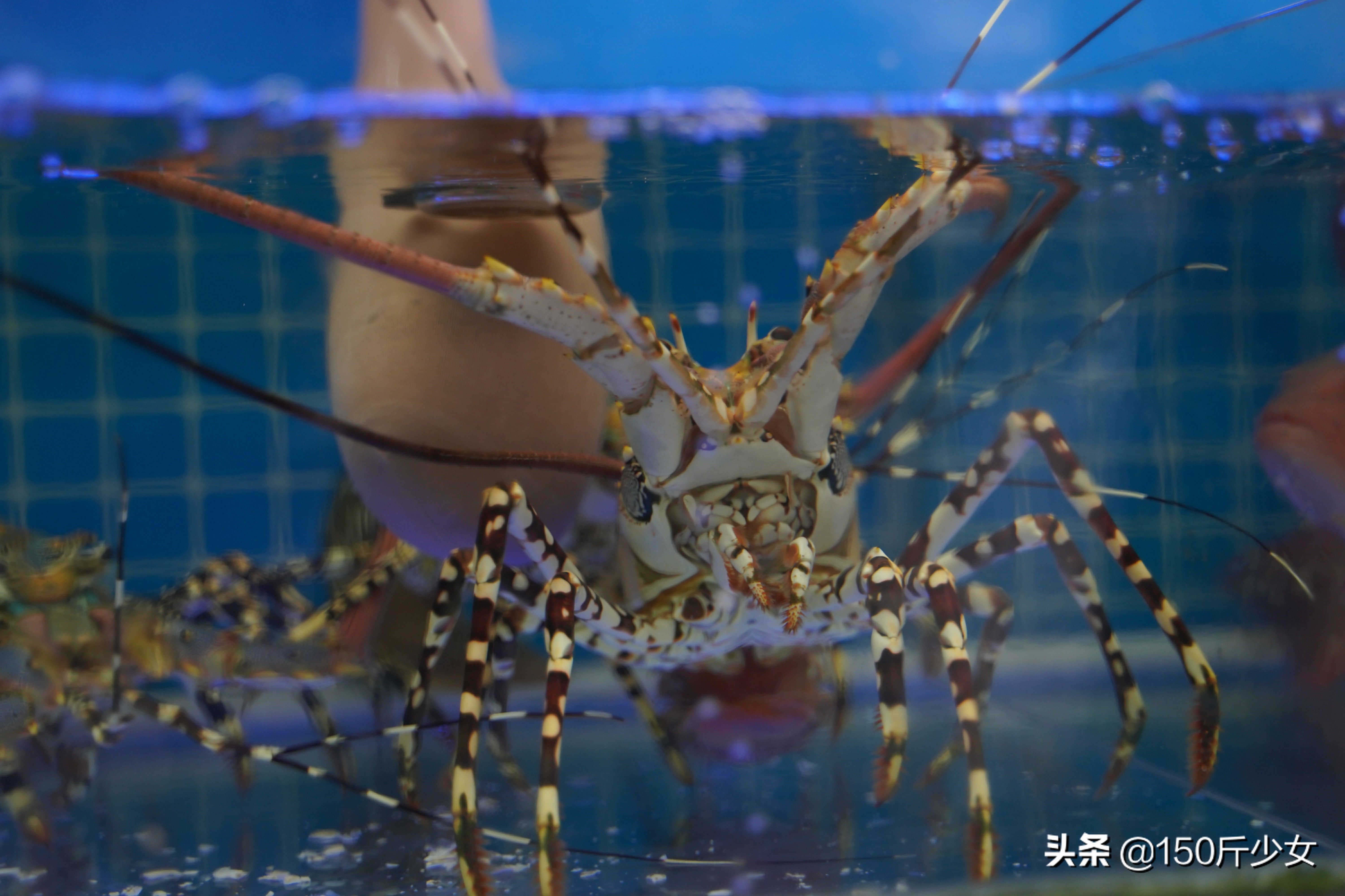 想念三亚的阳光和沙滩海浪,三亚期盼已久的大海